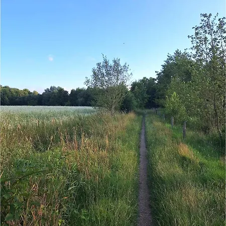 Домик В Лесу Taevaskoja